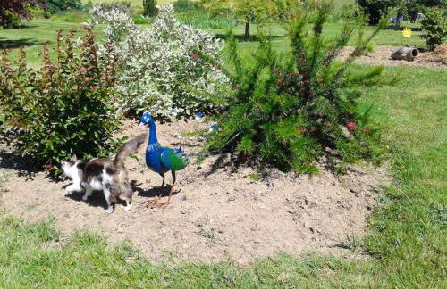 Appartement avec piscine à Montpezat-de-Quercy 40 m² - Foto 19