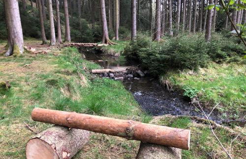 Hundeurlaub im Tiny House im Wald - Foto 9