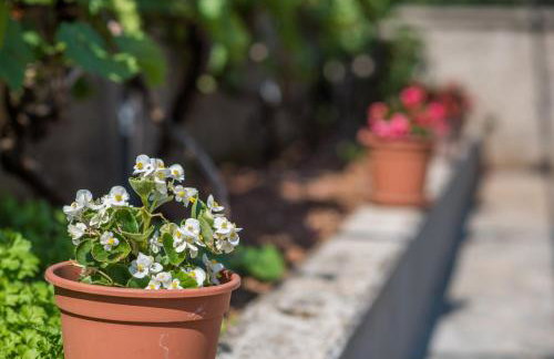 Apartments with a parking space Malinska (Krk) - 13219 - Foto 12