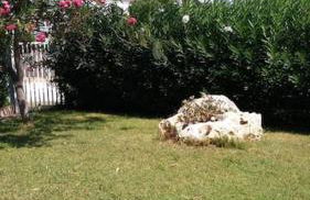 Villa Francesco & Chiara - Foto 20