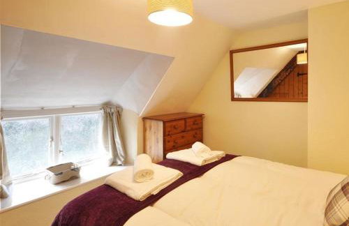 Little Ivy - Foto 11