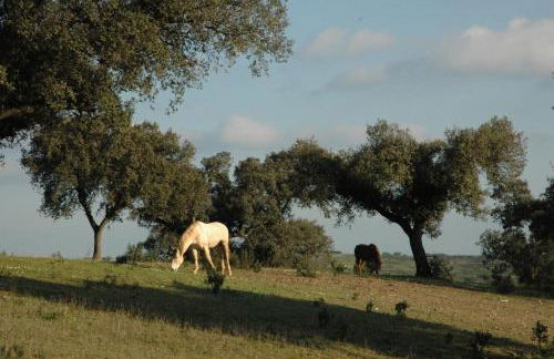 Herdade do Monte Outeiro - Turismo Rural - Foto 15