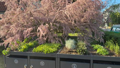 Gemütliche Wohnung mit Wallbox und Klimaanlage - Foto 4