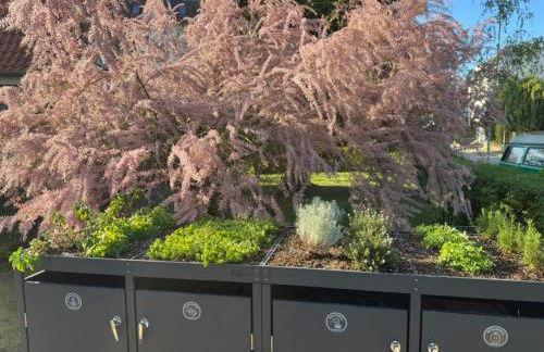 Gemütliche Wohnung mit Wallbox und Klimaanlage - Foto 4