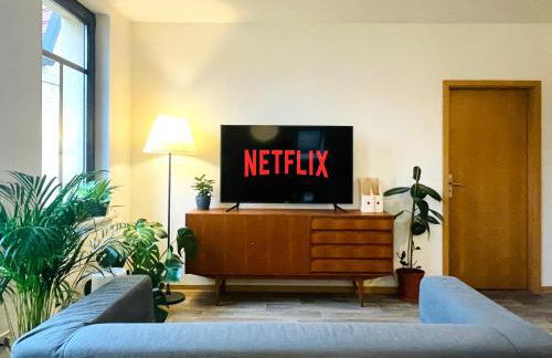 P6 - Familienwohnung am Park und Saale - Foto 4