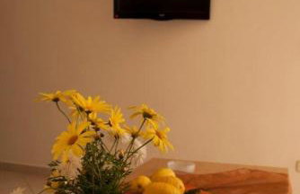 Apartmani Božana Viganj - Foto 14