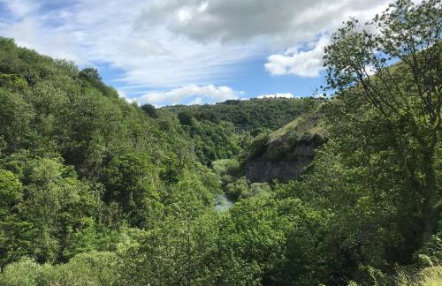 River View - Photo 37