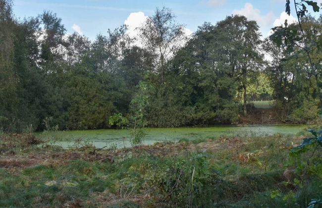 4 Star Holiday Home in Ansager - Photo 32