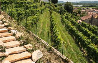 IL Pollaio - Foto 14