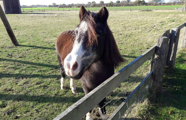 Siems Modern Retreat - Foto 13