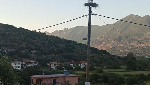 Villa Eleni - Foto 2