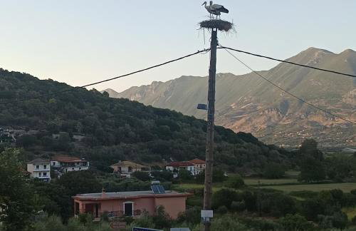 Villa Eleni - Foto 2