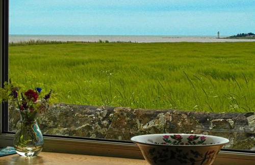 Beachcombers - Foto 67