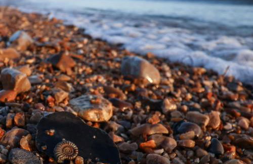 Oak Shepherd Hut - Photo 40