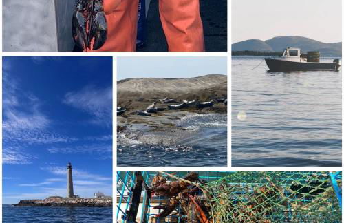 Cozy Coastal Cabin 4 - Foto 6