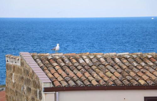 Donna Carmela - Foto 9