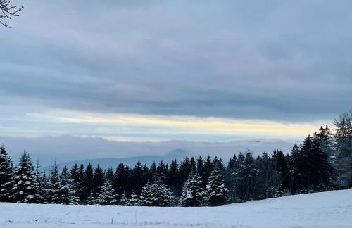 Graceland In the Black Forest - Foto 93