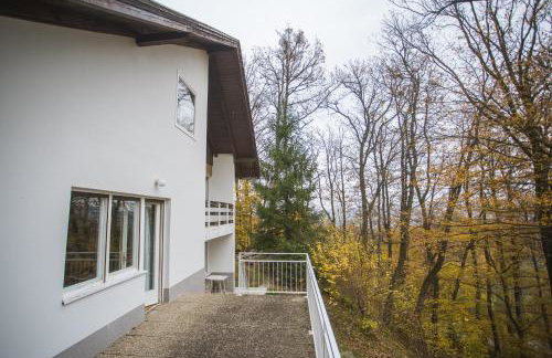 Old Chestnut Vacation Home - Foto 47