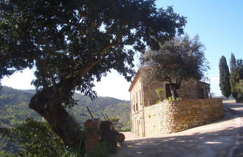 Micheletto - Foto 19