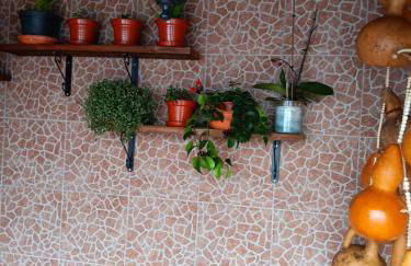 Casa da Rosarinha - Photo 14