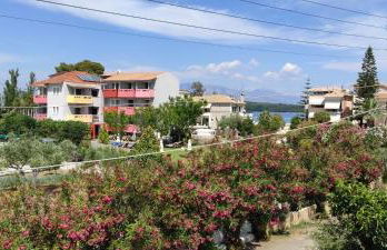 The Hammam Guest House - Foto 11