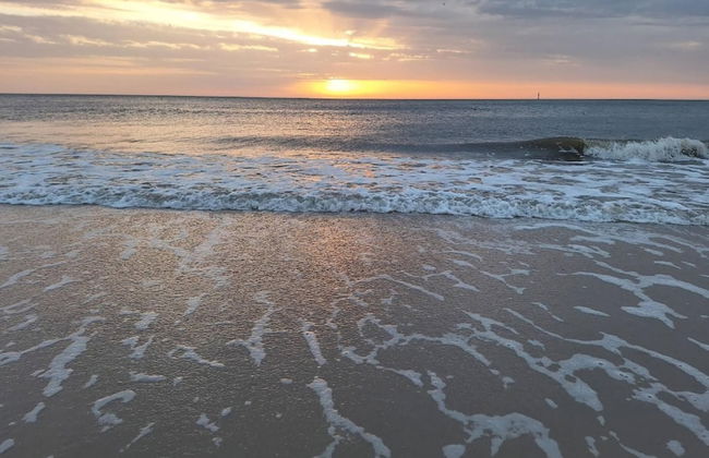 Apartment in Westerland - Photo 70