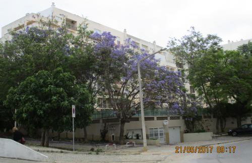 Edificio Nau - Foto 1