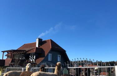 Alpaka Haus Sanssouci Tanne Oberharz - Foto 17
