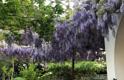 I PapaTrulli MiniResort - Foto 66