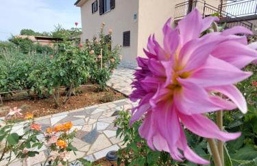 Apartments Rusin - Photo 11