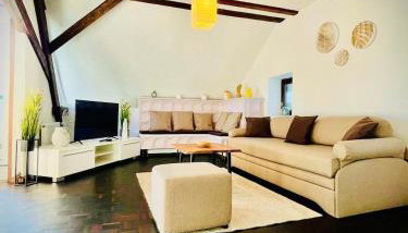 Chris & Aris Ferienwohnung Waldshut Zentrum - Foto 4