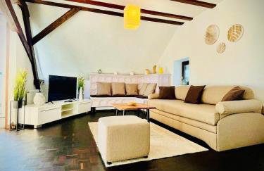 Chris & Aris Ferienwohnung Waldshut Zentrum - Foto 4