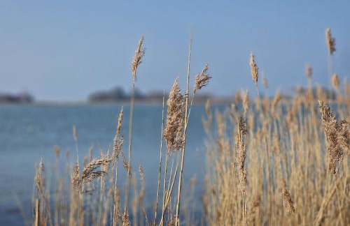 Haus-Fehmarn-am-Dorfteich-|-Wohnung-2-West - Foto 39