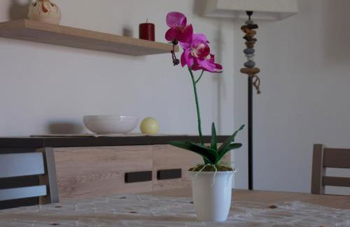 Shardana Blu - Net Zero Home Holiday - Foto 24