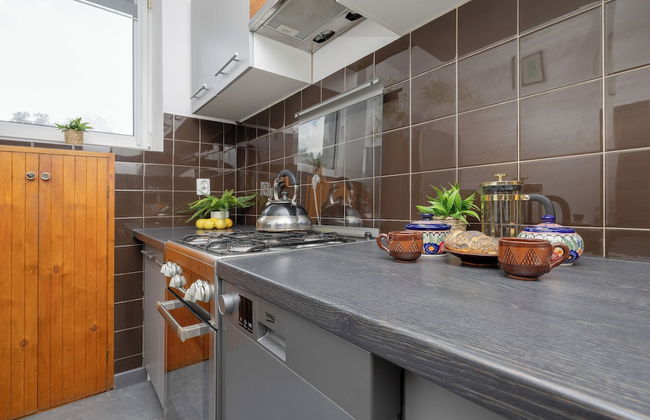 Apartment With Balcony by Renters - Foto 8