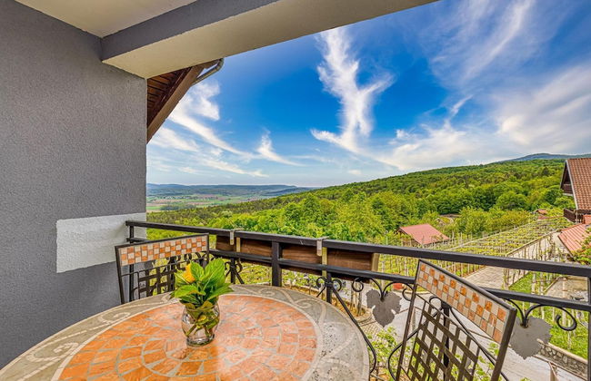 Vineyard Homestead Vrtin - Foto 9