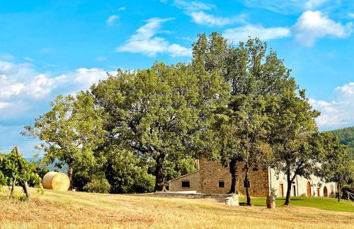 Palazzolo Resort - Anghiari - Foto 19