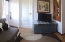 Casal de Perros - Foto 3