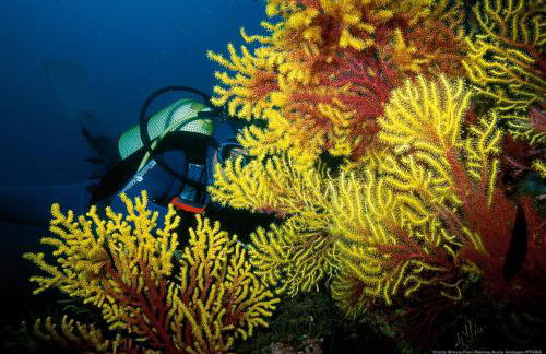 Sunset Boutique Duplex - Foto 35