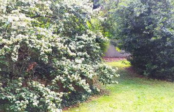 Charmant F1 Paris Expo Porte de Versailles - Foto 21