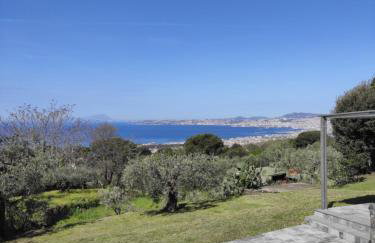Dimora degli Ulivi B - Vesuvio - Foto 1