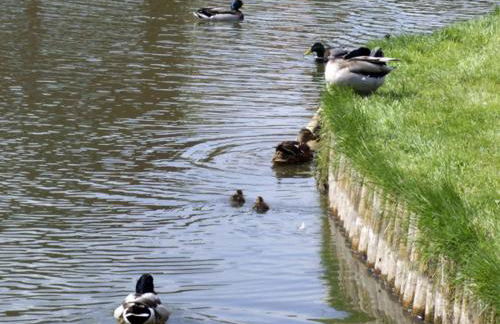 Rosewaters Cottage - Foto 15