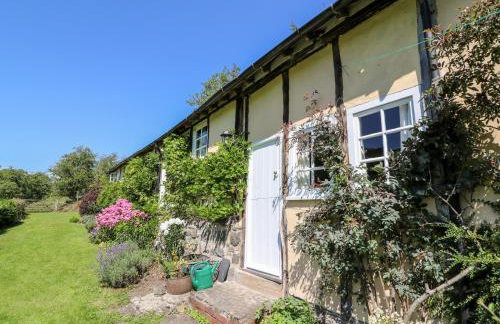 Dolgenau Hir - The Barn - Foto 3