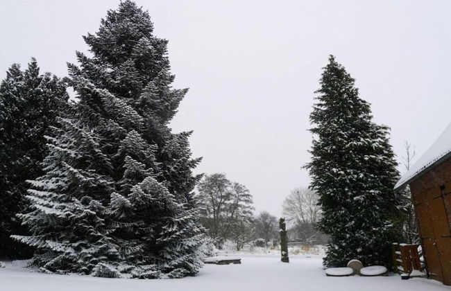 Wohnung im Teutoburger Wald Externsteine - Foto 28