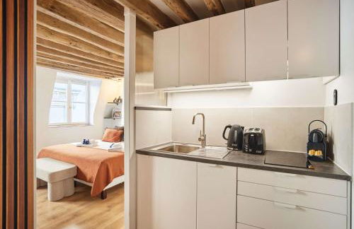 Suite Louvre Museum - Rue Saint Honore - Foto 6