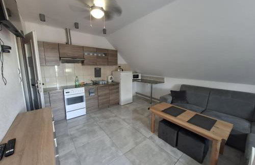 Mieszkanie A Łowiczki - Foto 1