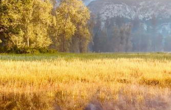 Yosemite family getaway w lake, golf, horses, pool - Foto 43