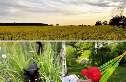Ferienwohnung EINS Hof Himmelgrün - Foto 19
