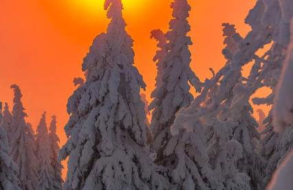 IZERSKA WERANDA - Górski Apartament 120m2 - Foto 22