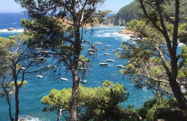 Cap Sa Sal Navy, Begur, Girona - Foto 2